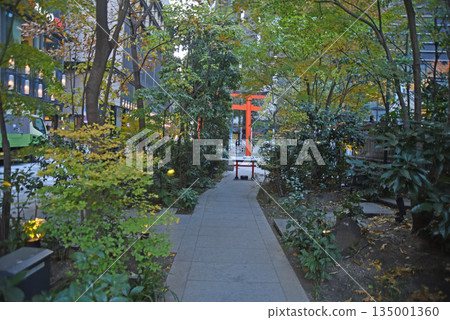 Path of Fortune Path of Fortune 135001360