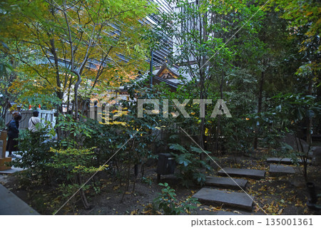 Fukutoku Forest Fukutoku Forest 135001361