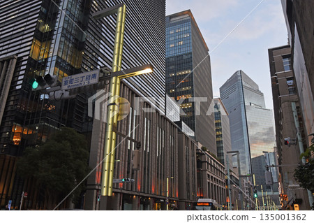 Cityscape of the city 135001362