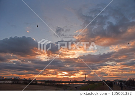 before dawn 135001382