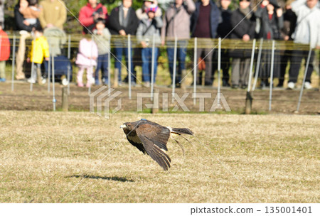 Gliding Gliding 135001401