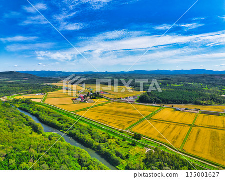 Aerial photograph 135001627