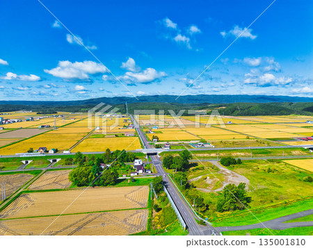 Aerial photograph Aerial photograph 135001810