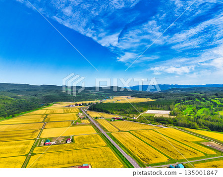 Aerial photograph 135001847