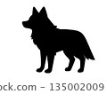 Wolf silhouette illustration 135002009