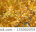 Golden ginkgo leaves 135002059