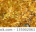 Golden ginkgo leaves 135002061