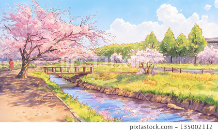 A spring park landscape with blooming cherry blossoms bathed in soft sunlight and green grass under a wide blue sky 135002112