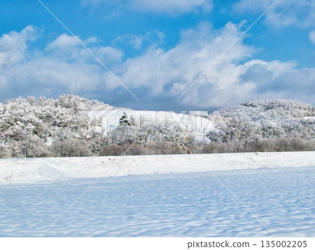 Winter scenery Winter scenery 135002205
