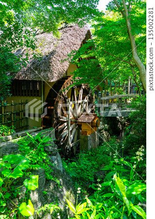 [東京] 深大寺街沿線的深大寺水車博物館 135002281