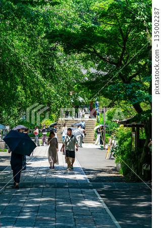 [Tokyo] Beautiful fresh greenery at Jindaiji Temple in Chofu City 135002287