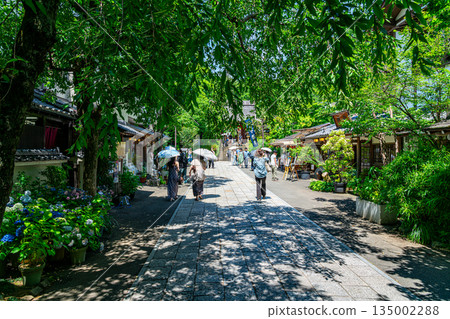 【東京】調布市深大寺美麗的清新綠植 135002288