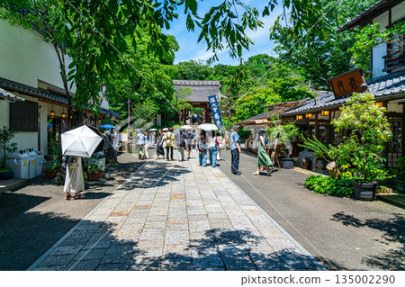 [Tokyo] Beautiful fresh greenery at Jindaiji Temple in Chofu City 135002290