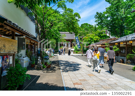 [Tokyo] Beautiful fresh greenery at Jindaiji Temple in Chofu City 135002291