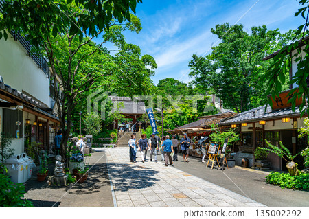 [Tokyo] Beautiful fresh greenery at Jindaiji Temple in Chofu City 135002292