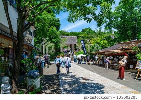 【東京】調布市深大寺美麗的清新綠植 【東京】調布市深大寺美麗的清新綠植 135002293