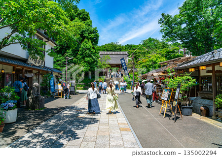 [Tokyo] Beautiful fresh greenery at Jindaiji Temple in Chofu City 135002294