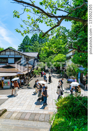 【東京】調布市深大寺美麗的清新綠植 【東京】調布市深大寺美麗的清新綠植 135002305