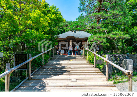 【東京】調布市深大寺美麗的清新綠植 135002307