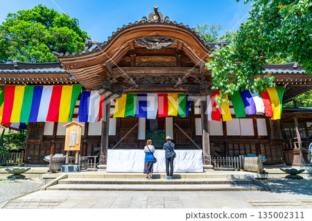 [Tokyo] Beautiful fresh greenery at Jindaiji Temple in Chofu City 135002311