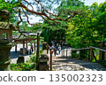 [Tokyo] Beautiful fresh greenery at Jindaiji Temple in Chofu City 135002323