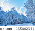 冬天的景色 135002341