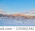 冬天的景色 135002342