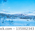 冬天的景色 135002343