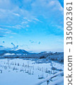 冬天的景色 135002361