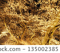 Cherry blossoms at night (Fukui) 135002385