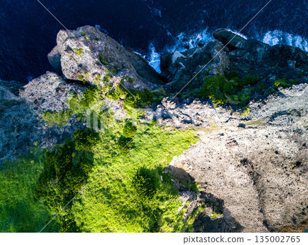 Drone shot of Hirizo Beach. Daikon Island, Aiai Cape, and numerous rocky shores are also visible. Hirizo Beach, Nakagi, Minamiizu Town, Izu Peninsula, Shizuoka Prefecture 135002765