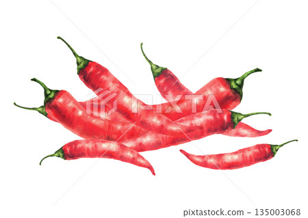 Pile of hot red chili pepper. Watercolor hand drawn illustration. Spice ingredient, chilli or cayenne condiment. Spicy vegetables for food label, sauces, menu, recipe. Isolated from background clipart Pile of hot red chili pepper. Watercolor hand drawn illustration. Spice ingredient, chilli or cayenne condiment. Spicy vegetables for food label, sauces, menu, recipe. Isolated from background clipart 135003068
