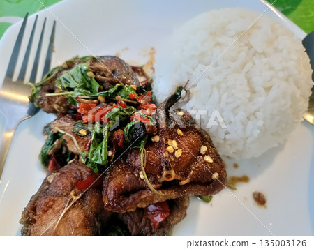 Spicy pork basil rice, Thai stir fry, white rice on plate, chili, garlic aroma lunch 135003126