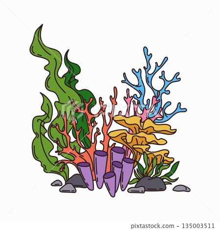 Corals and seaweed, cartoon groovy underwater reef plants. Aquarium and sea coral reef vector wildlife nature biodiversity. Ocean and undersea water life isolated weeds and wracks, kelp marine flora 135003511