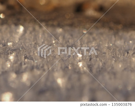 山路上盛開的霜花(20251223072002) 山路上盛開的霜花(20251223072002) 135003876