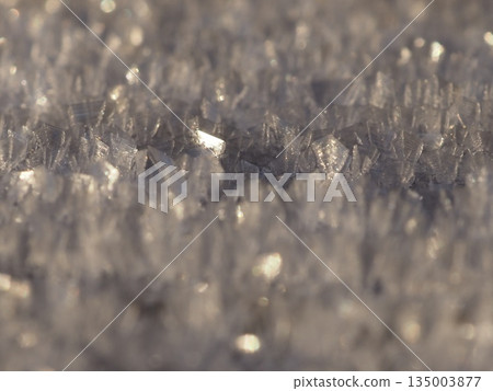 Frost flowers blooming on a mountain path (20251223071932) Frost flowers blooming on a mountain path (20251223071932) 135003877