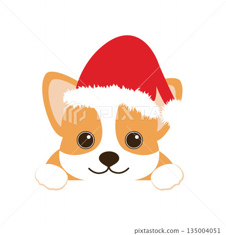 Cute Corgi Puppy wearing Santa Hat Cute Corgi Puppy wearing Santa Hat 135004051