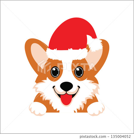 Cheerful Corgi Face in Santa Hat 135004052