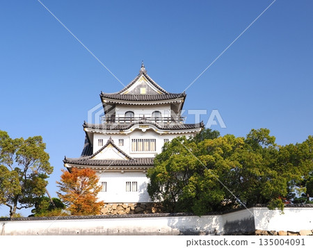 藍天和岸和田城。 藍天和岸和田城。 135004091