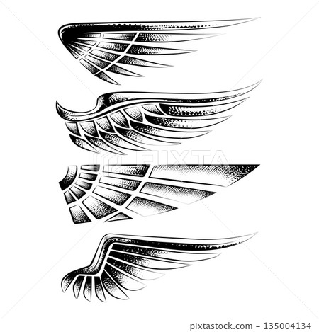 Tattoo wing design element set Tattoo wing design element set 135004134