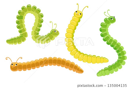 Colorful cartoon caterpillars Colorful cartoon caterpillars 135004135