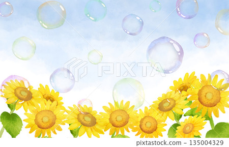 背景是向日葵和飛舞的肥皂泡 背景是向日葵和飛舞的肥皂泡 135004329
