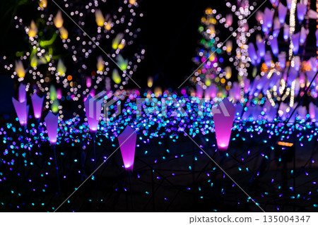 冬夜照明 135004347