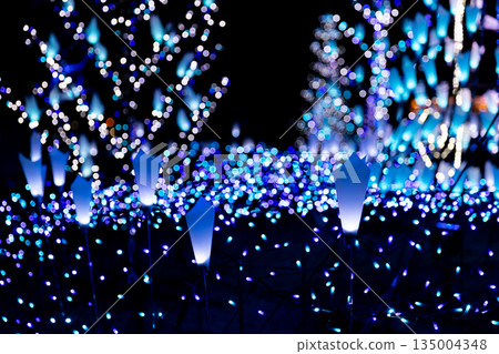 winter night illumination winter night illumination 135004348