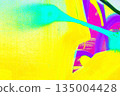 Abstract Fluorescent Paint Splashes in Neon Yellow, Cyan, Violet for Y2K, 2000s Street Art Style 135004428