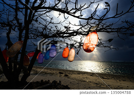 一棵樹上懸掛著五彩繽紛的彩帶，這是沖繩的風景，位於備瀨海灘。 135004788