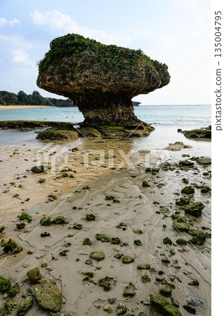 Rocky coast, Okinawa landscape, Nirai Beach Rocky coast, Okinawa landscape, Nirai Beach 135004795