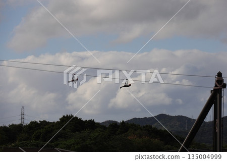 A man gliding on only a wire at Junglia Okinawa A man gliding on only a wire at Junglia Okinawa 135004999
