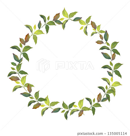 Green Leaves Wreath with Botanical Branches on Light Background Green Leaves Wreath with Botanical Branches on Light Background 135005114