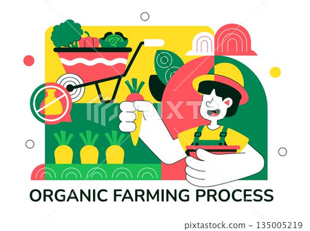 Organic Farming Process Vector Illustration Showing Sustainable Agriculture, Eco Friendly Cultivation Methods, and Natural Food Production Background Organic Farming Process Vector Illustration Showing Sustainable Agriculture, Eco Friendly Cultivation Methods, and Natural Food Production Background 135005219